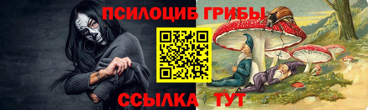 купить наркоту  Псилоцибиновые грибы GOLDEN TEACHER  Вход с VPN  Галлюциногенные грибы мухоморы  Курчалой 