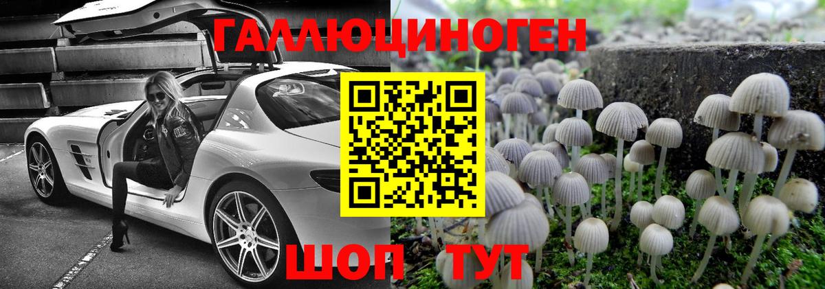 Галлюциногенные грибы прущие грибы Курчалой